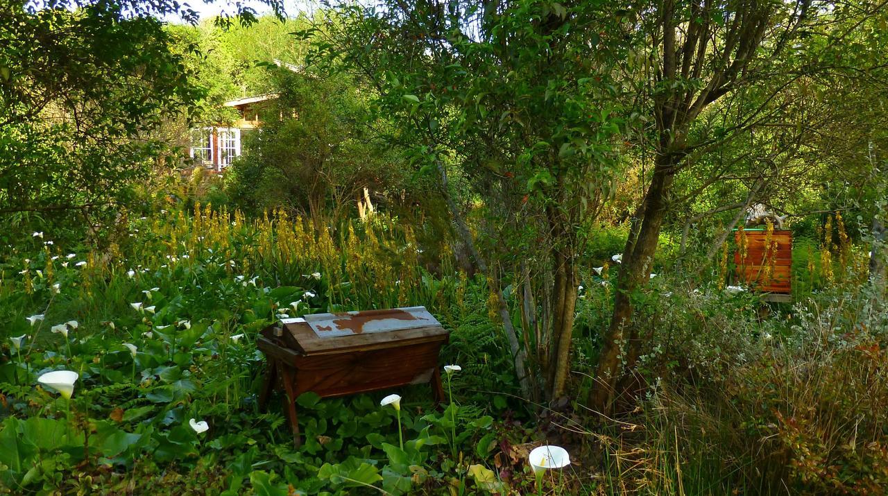 Boutique Vintage Forest Cabin Стормсривер Экстерьер фото